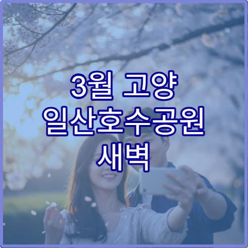 3월 고양 일산호수공원 새벽 6시 사진작가 출사 포인트