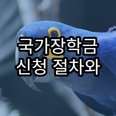 국가장학금 신청 절차와 기준