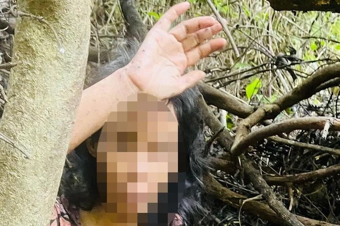 Công an xã Bình Phú giải cứu người phụ nữ bị lạc trong rừng - Báo Gia Lai
