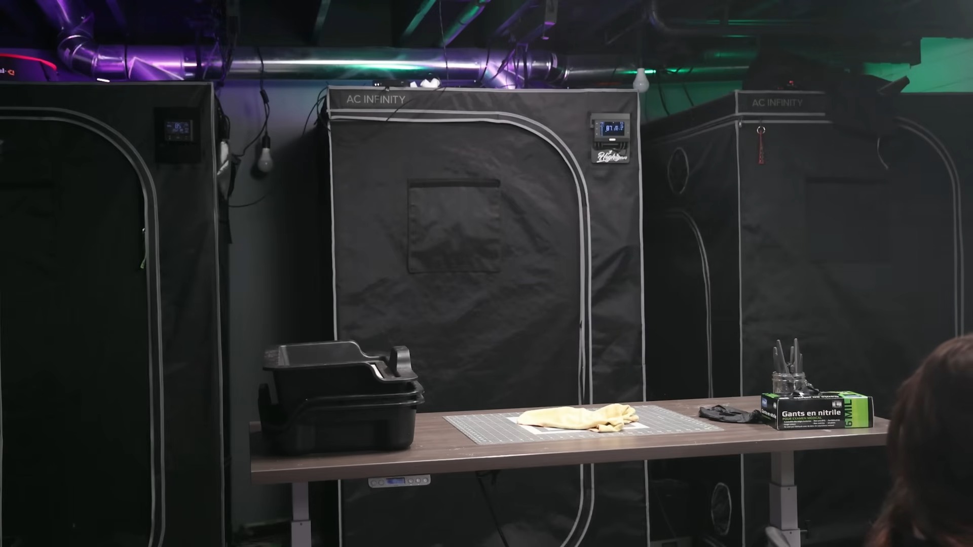 Highigan grow room with AC Infinity tents set up for harvest