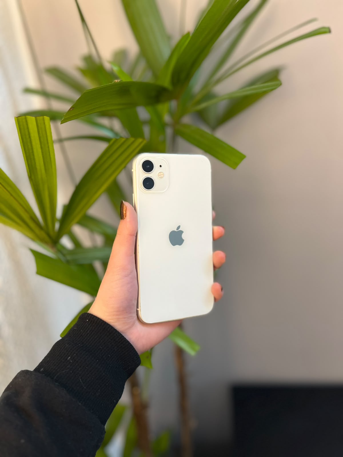 iPhone 11 256GB Branco