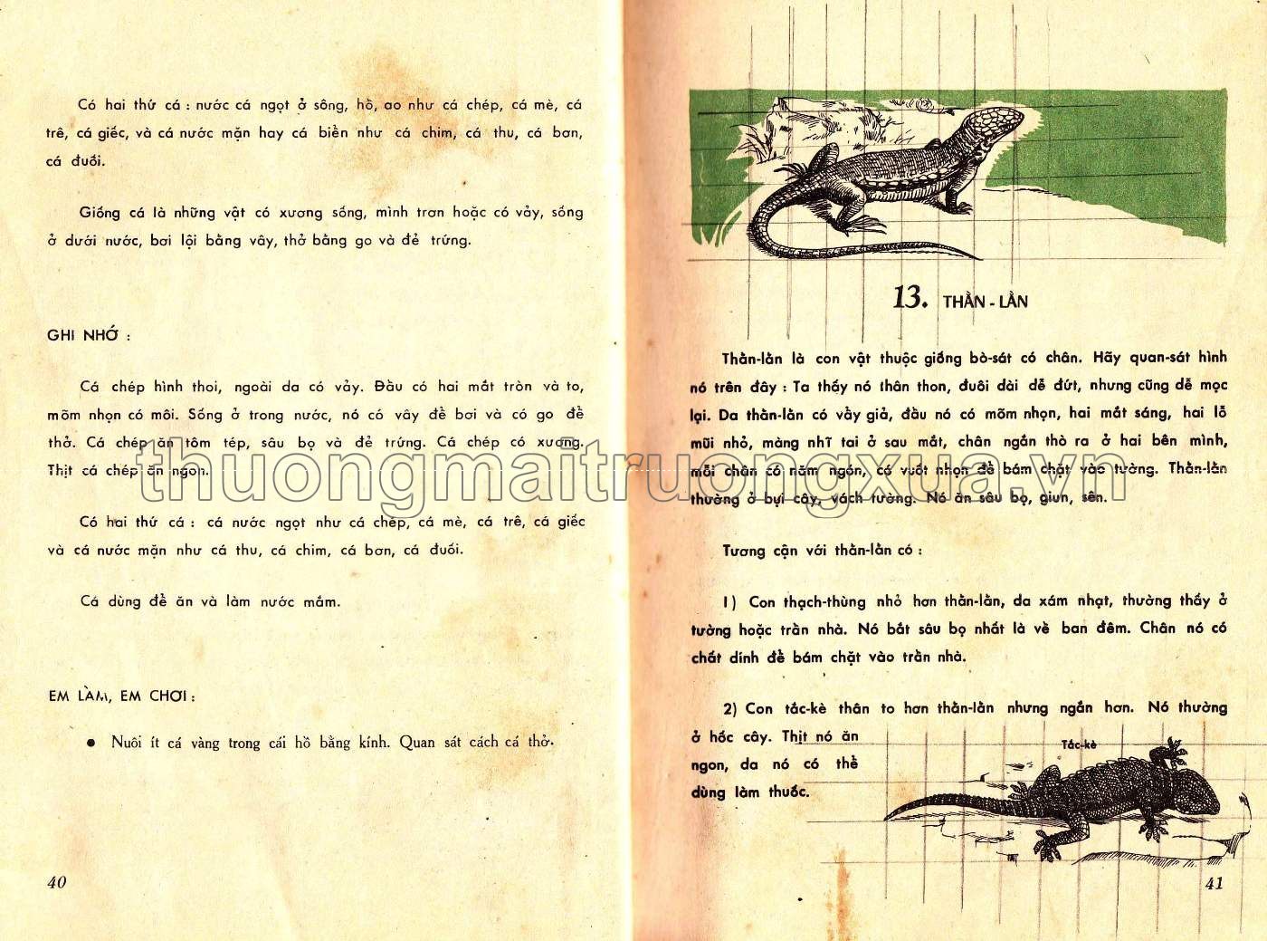 Em tìm hiểu khoa học lớp nhì (1966) - Trang 21