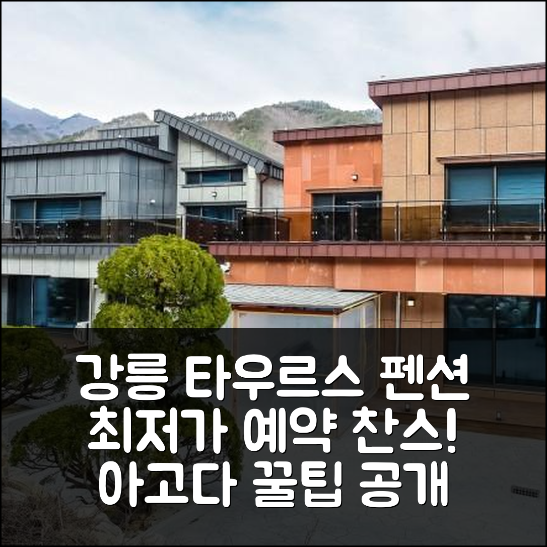 강릉 타우르스펜션 특가 예약! 강릉 숙소 후기+꿀팁 - 아고다 호텔 추천