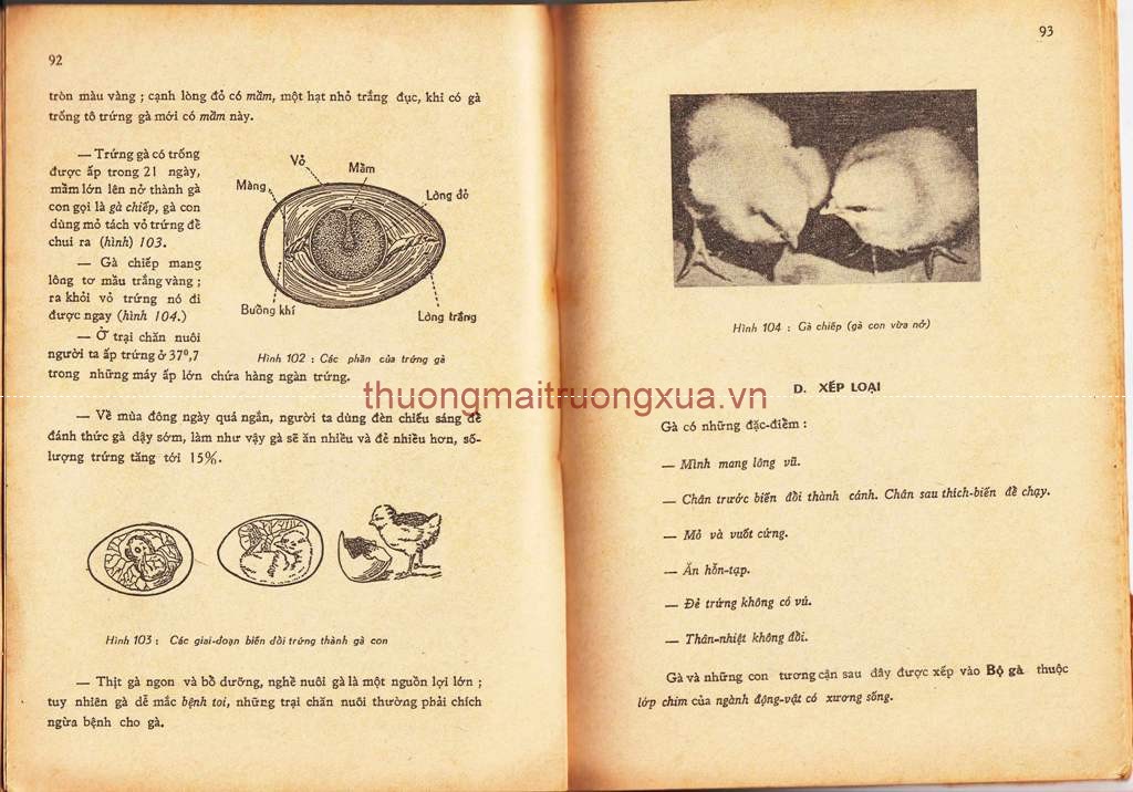 Báo : Hoa học trò (số 86 - 1995) - Trang 47