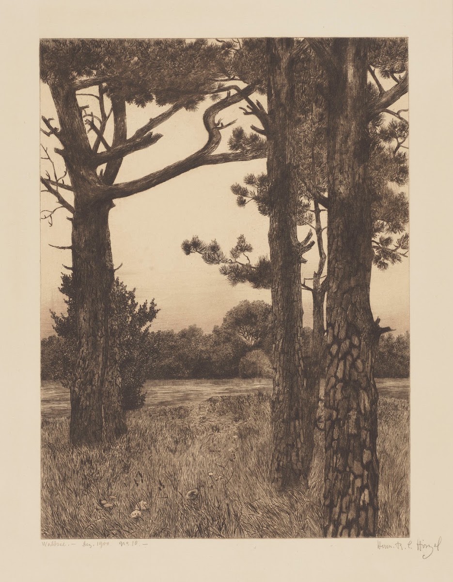 Lake in a Forest 1900