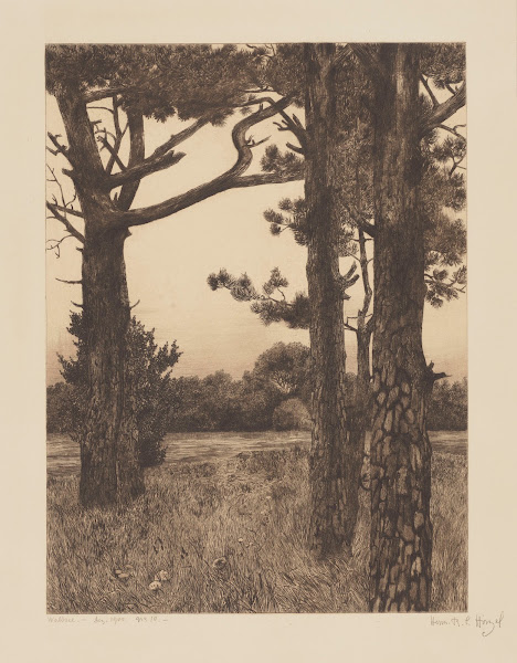 Lake in a Forest 1900