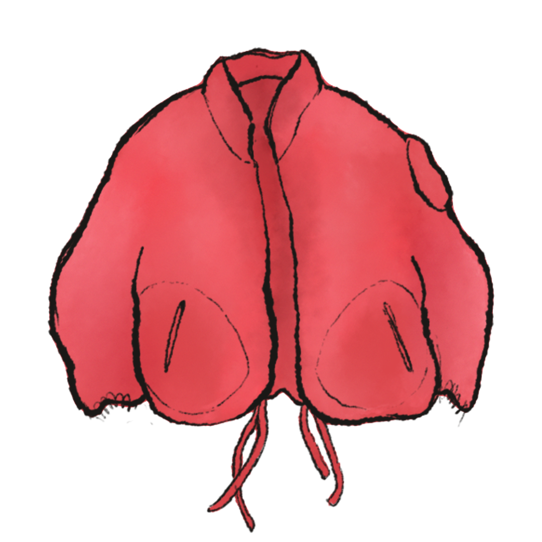 Yeezy Prototype Round Jacket product image