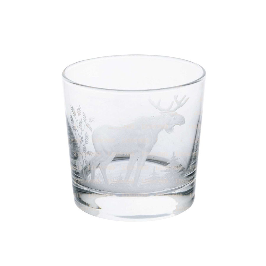 Laser Whiskey Glass
