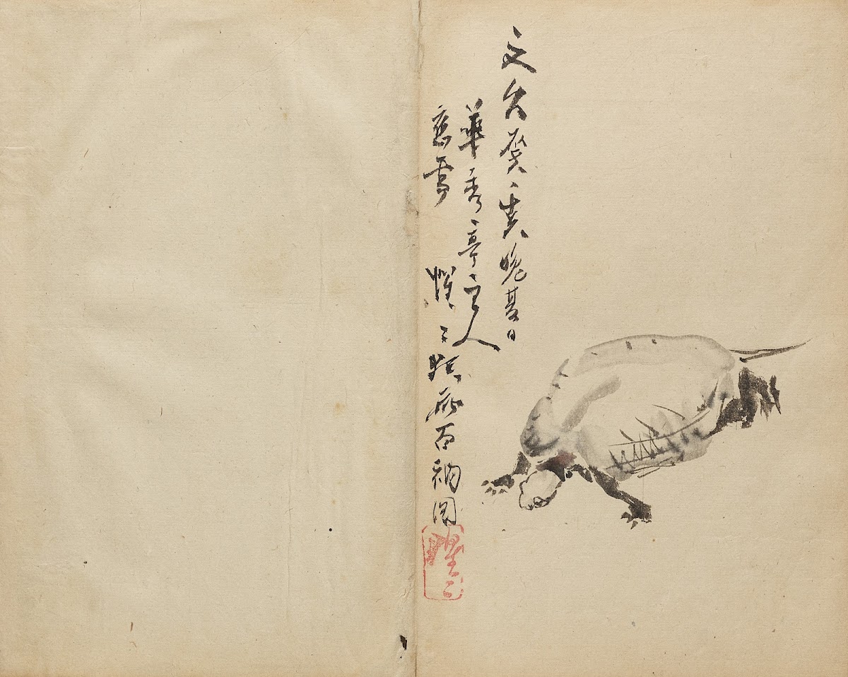 Tortoise 1800s