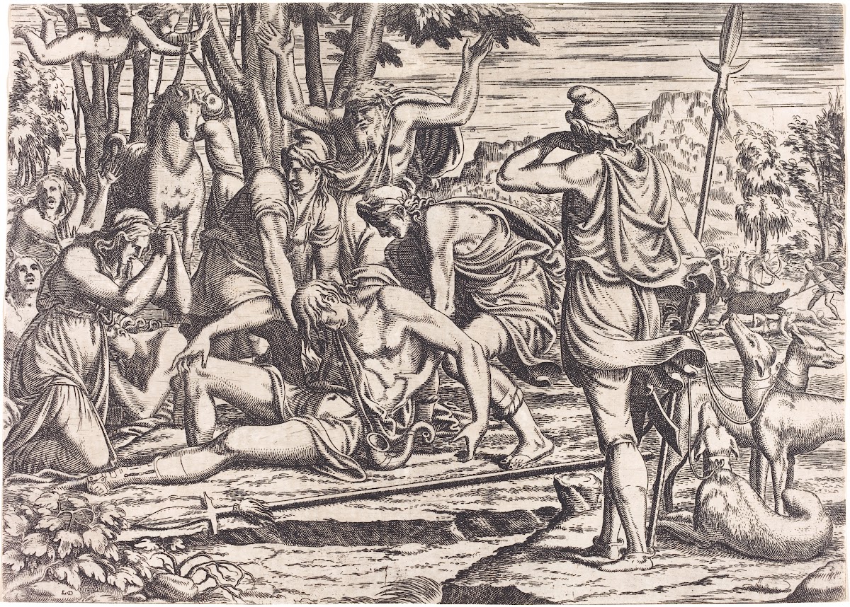 The Death Of Adonis