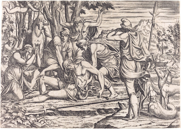 The Death Of Adonis