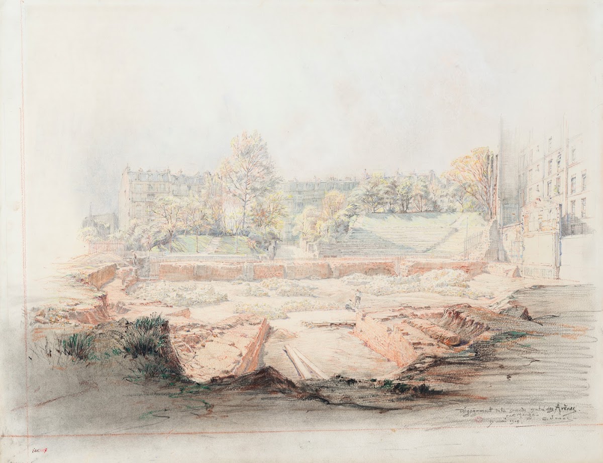 Cows in Landscape