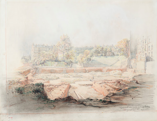 Cows in Landscape