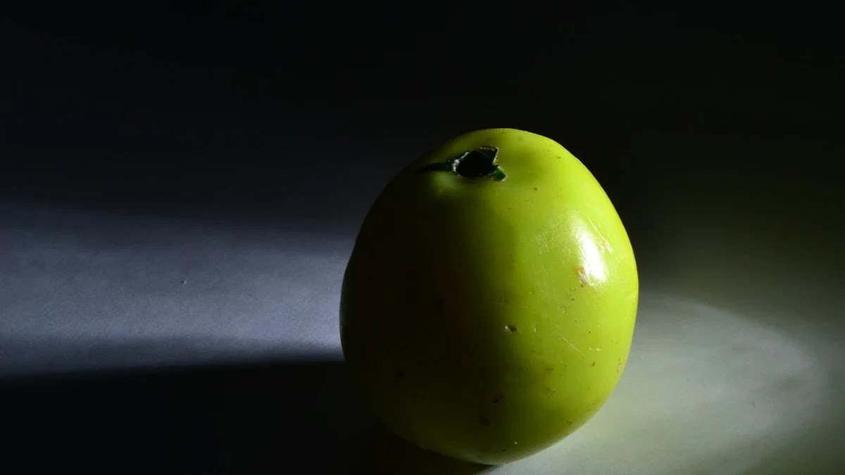 2주 다이어트 식단표 짜는 법과 식품별 칼로리 계산 방법