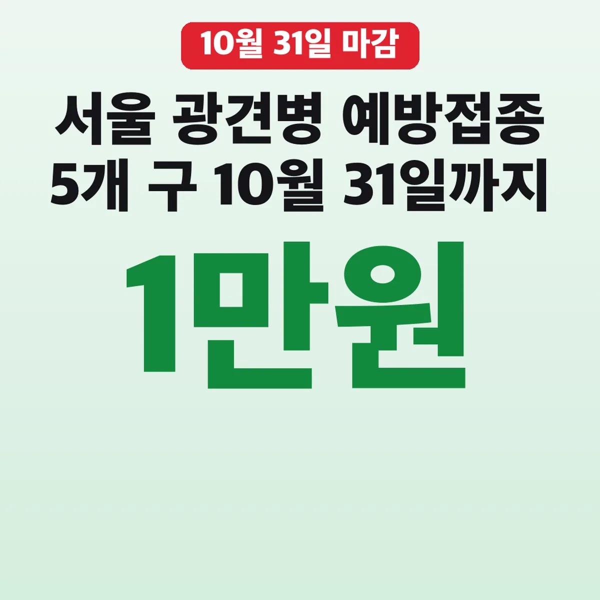 서울 광견병 예방접종 5개 구 10월 31일까지 1만원