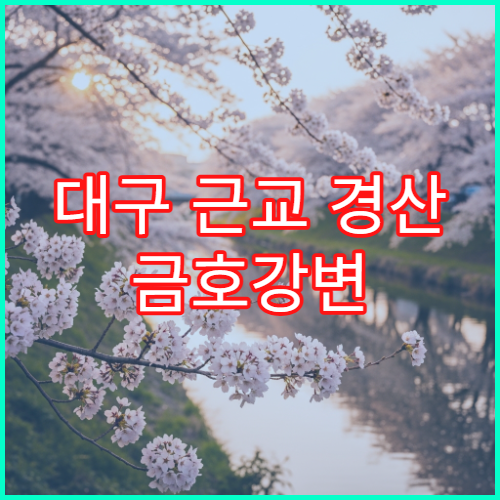 대구 근교 경산 금호강변 도시락 피크닉 강변 명당 위치 준비물