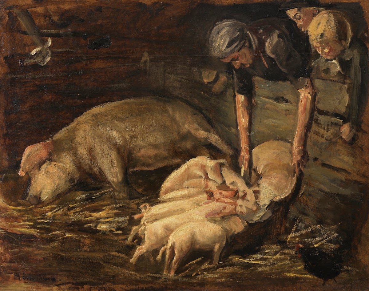 Schweinekoben Wochenstube 1887
