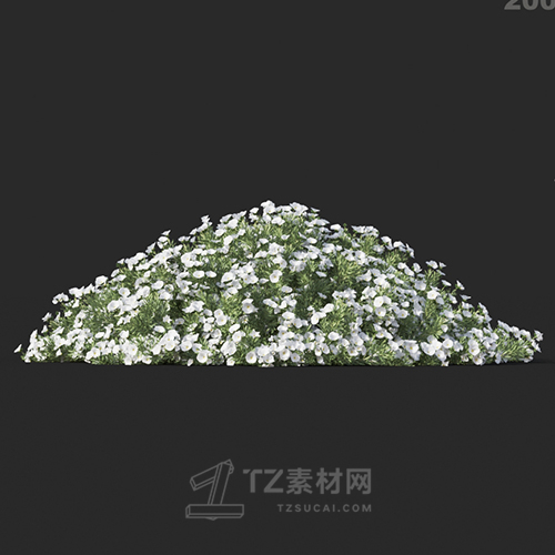 Maxtree - Plant Models Vol.60