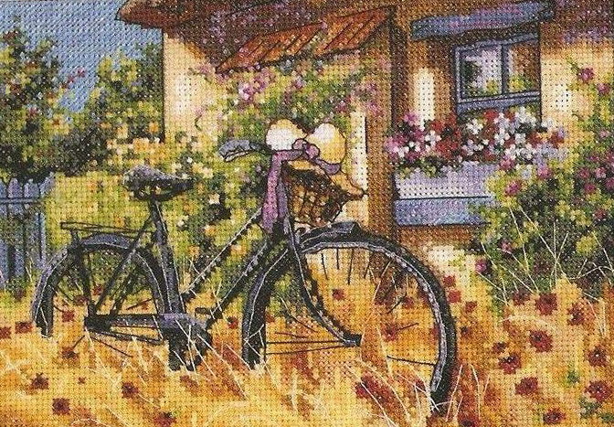 DIM65077 Bicycle Afternoon