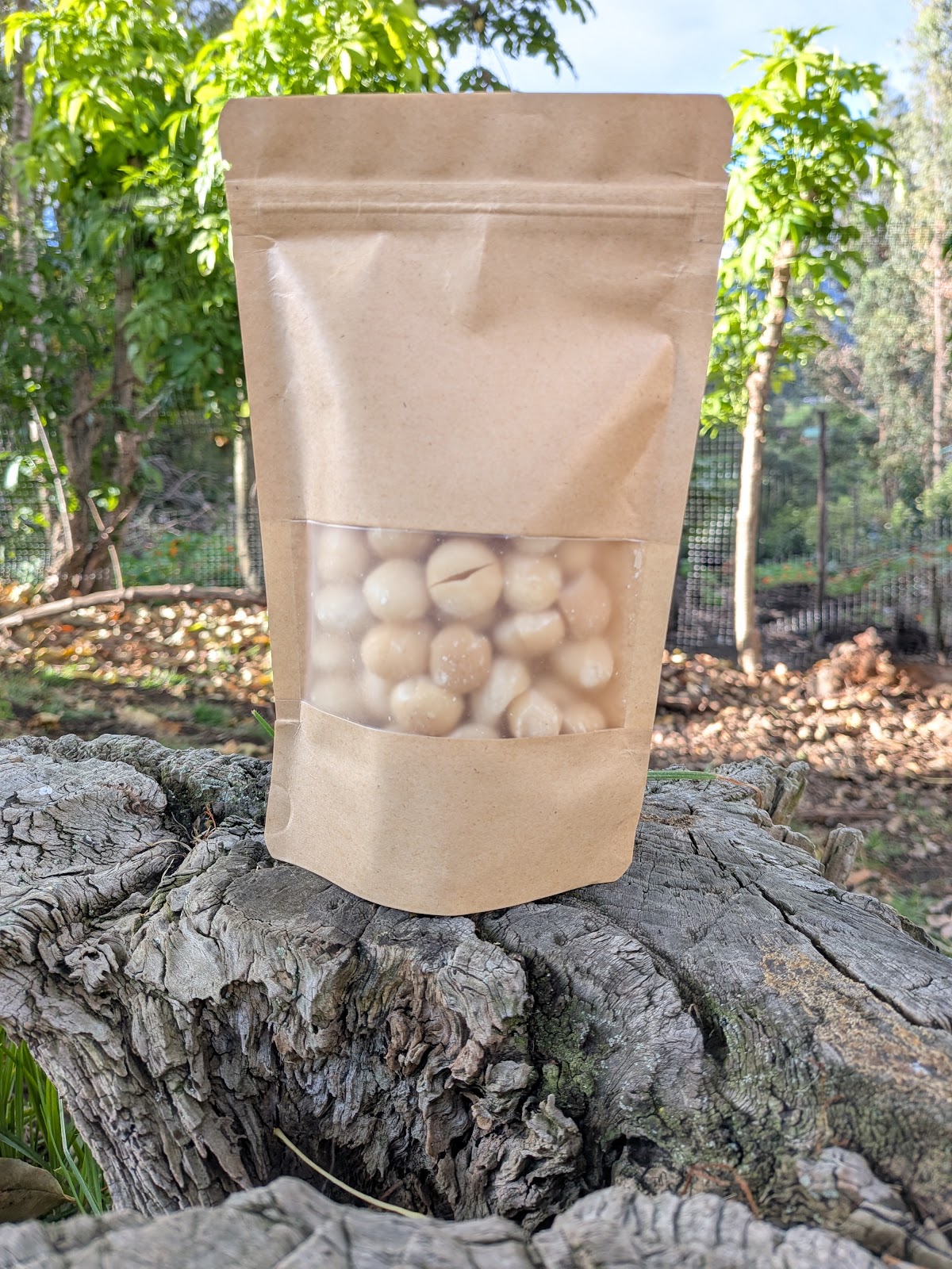 Comprar macadamia orgánico