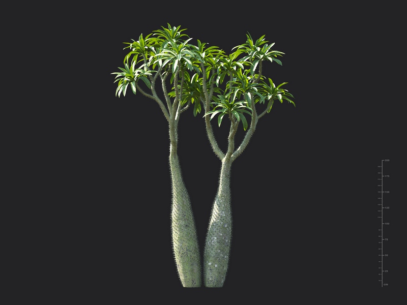 Maxtree - Plant Models Vol.130