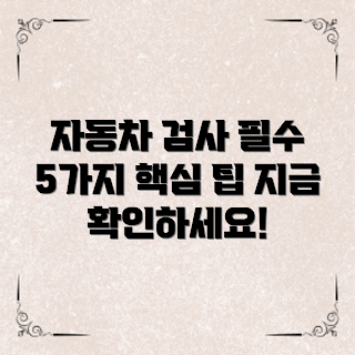 자동차배출가스검사, 배출가스 기준, 환경 보호, 자동차 검사, 자동차 관리