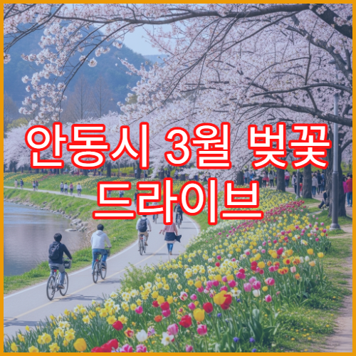 안동시 3월 벚꽃 드라이브 주차 피하는 루트 초보 추천