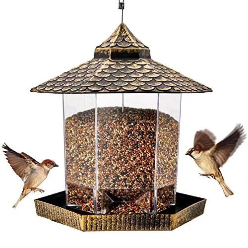 Automatic bird feeder with rain protection