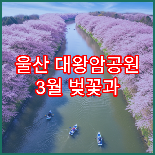울산 대왕암공원 3월 벚꽃과 바다 절경 여행