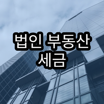 법인 부동산 세금 차별 규정