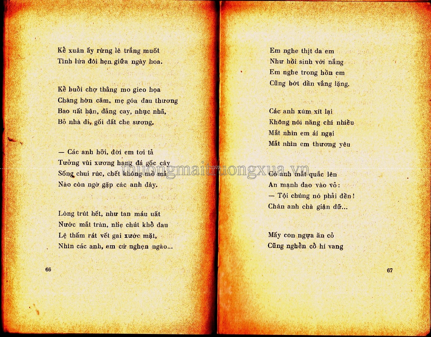 Cô gái Mèo (1972) - Trang 33