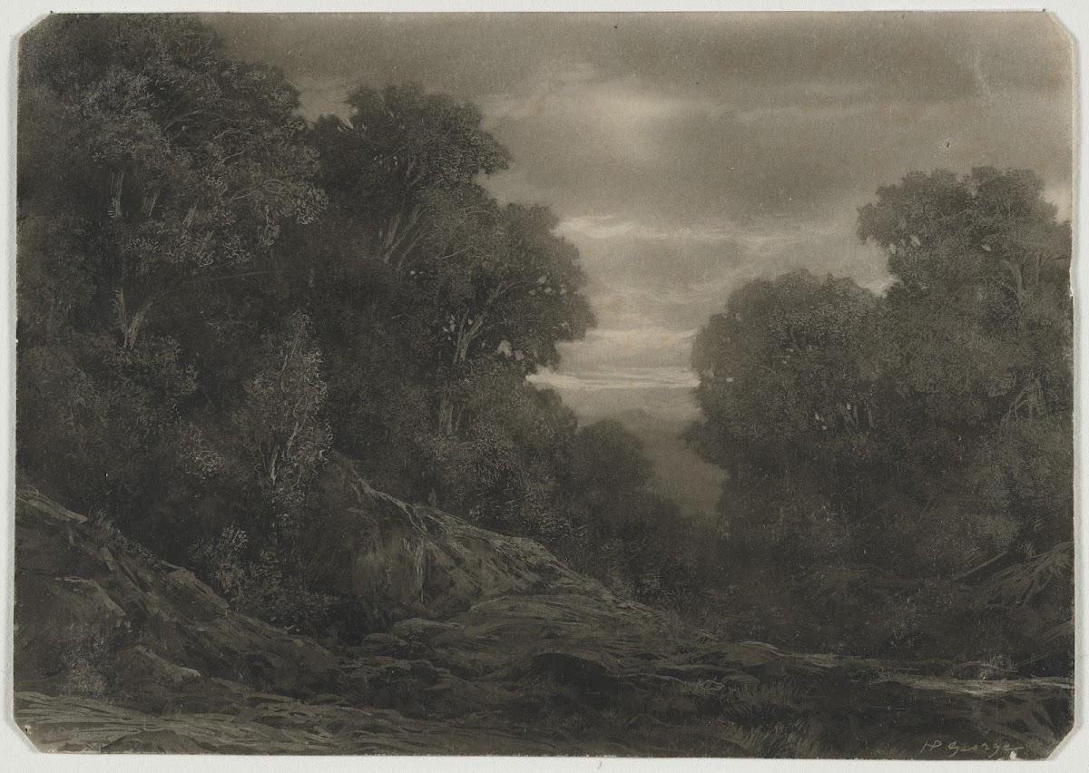 Landscape With Trees