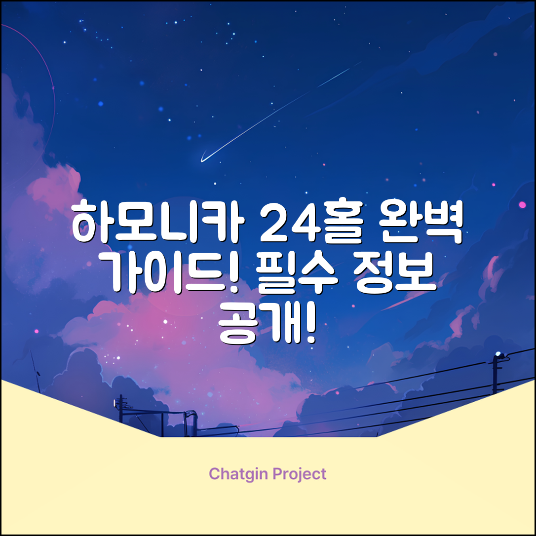 하모니카24홀 정보 완벽 가이드