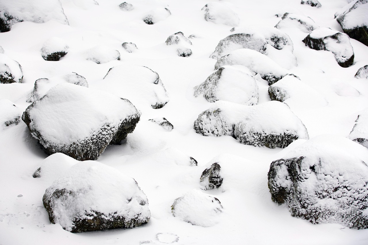 Koreans discussing MBTI, people talking about personality types Korea