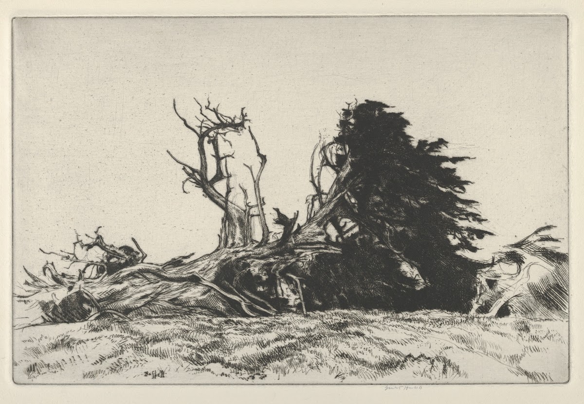 Fallen Centuries 1919