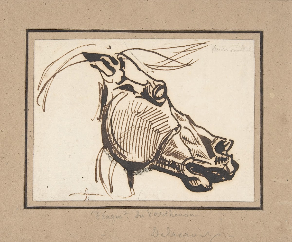 Head of a Horse after the Parthenon ca 1825