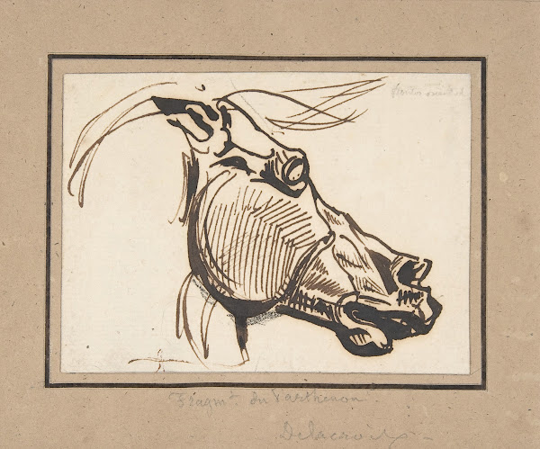 Head of a Horse after the Parthenon ca 1825