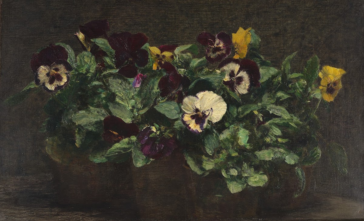 Still Life With Pansies 1892
