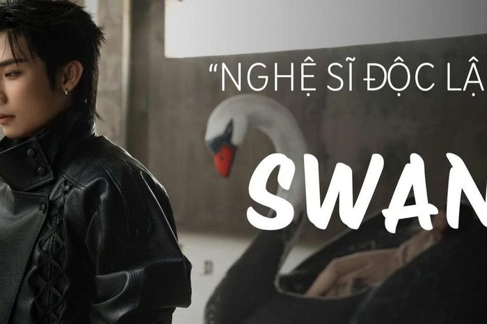 Từ Tân binh đến nghệ sĩ SWAN: 'Mọi thứ trở nên lớn hơn, nhưng tôi vẫn là chính mình' - Chuyên trang Hoa Học Trò - Báo Tiền Phong
