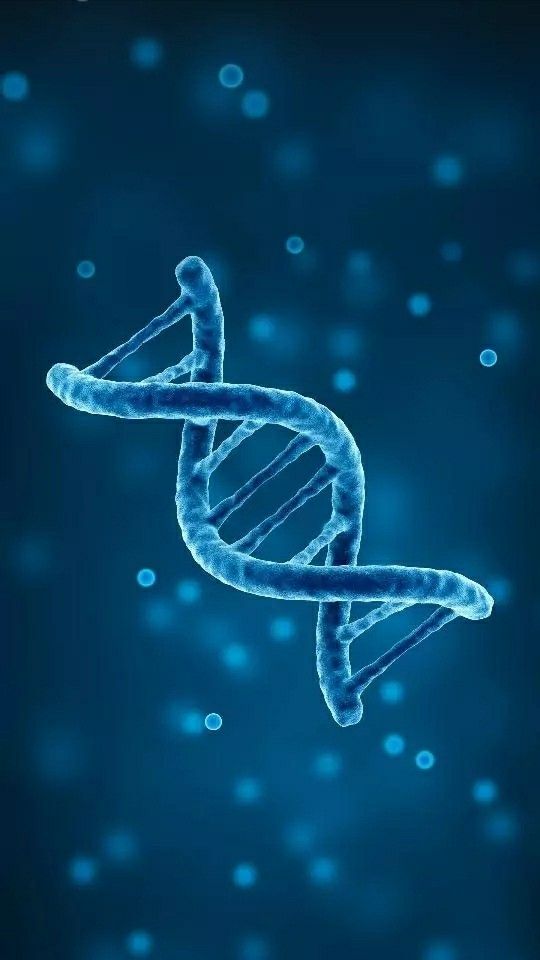 DNA Picture