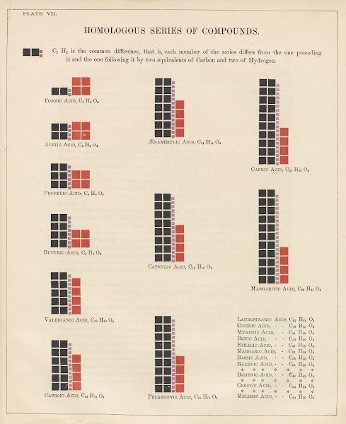 Plate VII Homologous Series of Compounds 1856