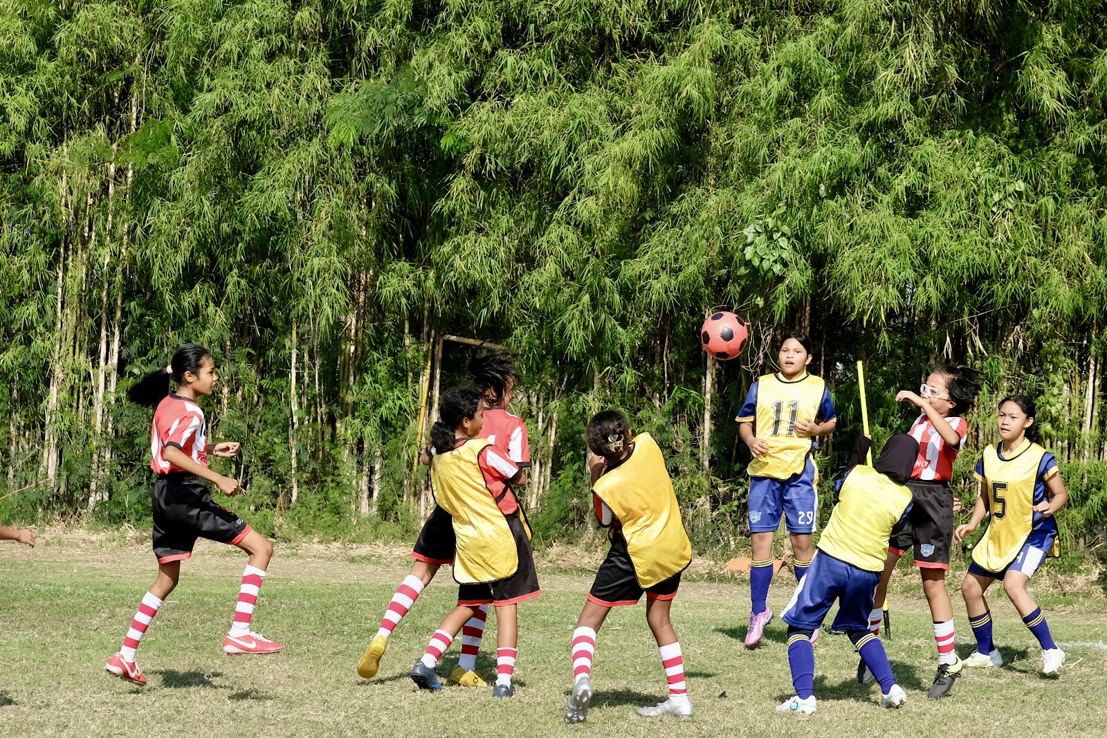 Tigers Academy gallery photo
