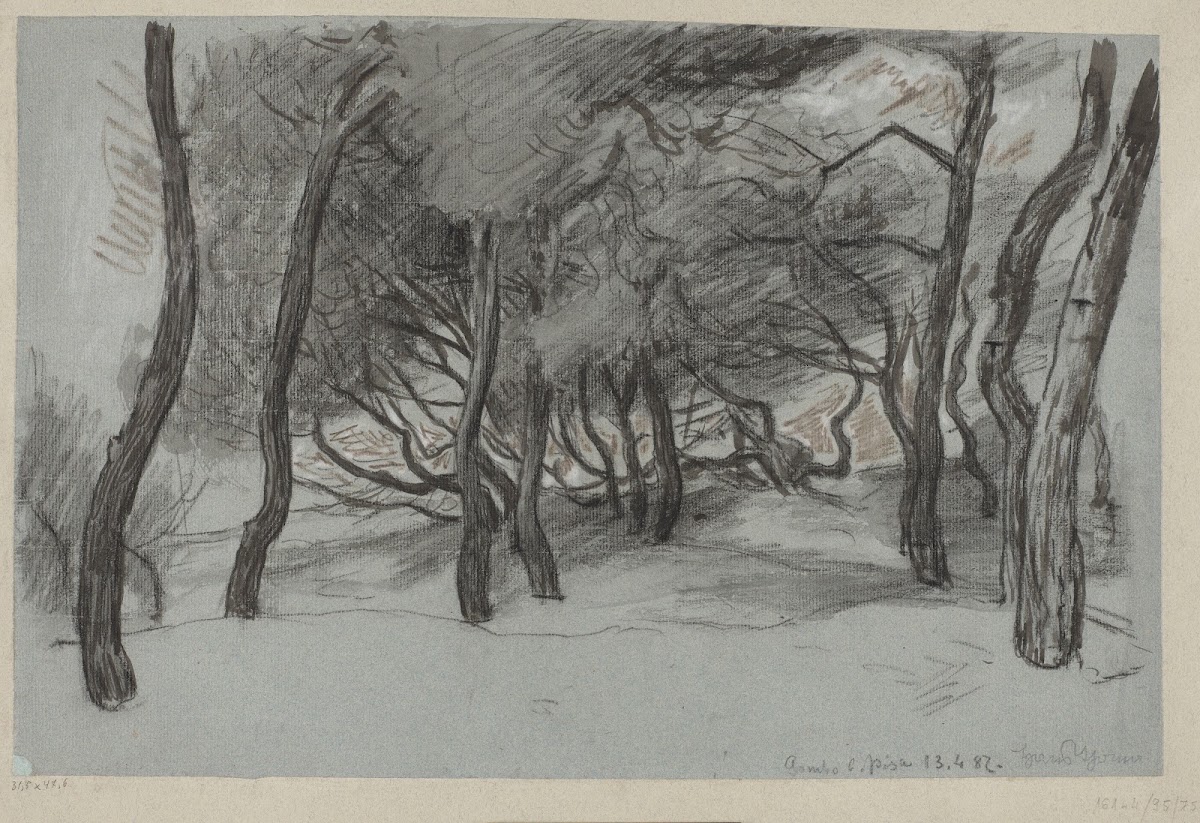 Trees on a Beach in Gombo near Pisa 1887