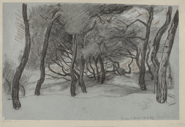 Trees on a Beach in Gombo near Pisa 1887