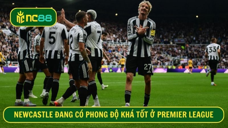 Newcastle đang cho thấy dấu hiệu cải thiện ở Premier League