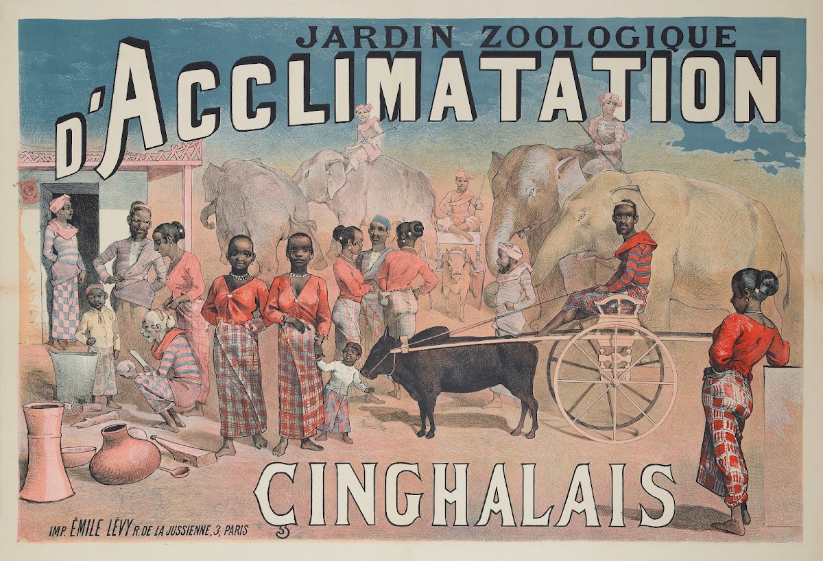 Jardin Zoologique Dacclimatation Cinghalais 1883 1886