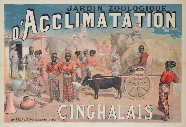 Jardin Zoologique Dacclimatation Cinghalais 1883 1886
