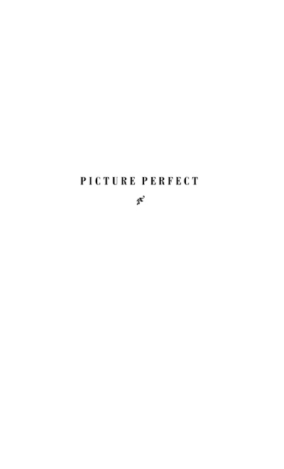 Picture Perfect- Life in the Age of the Photo Op