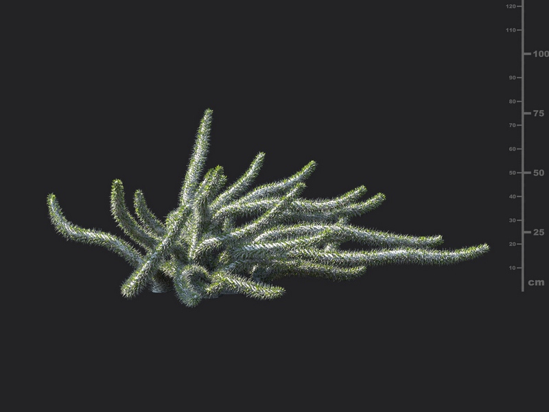 Maxtree - Plant Models Vol.130