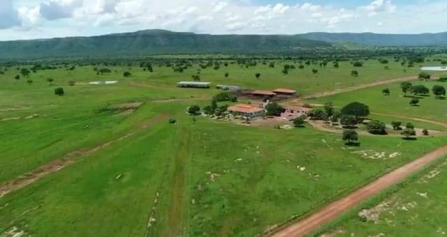 Fazenda em Alvorada do Norte-GO 4